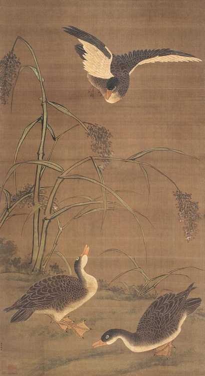 赵仲僴（款） 芦雁图 立轴